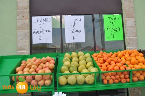 souq yaffa 0123 (17).JPG